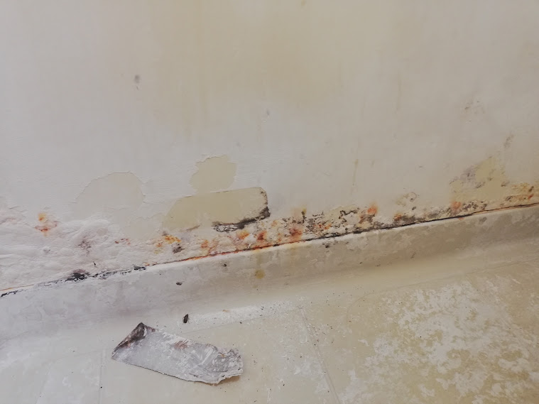 浴室の壁の錆腐食